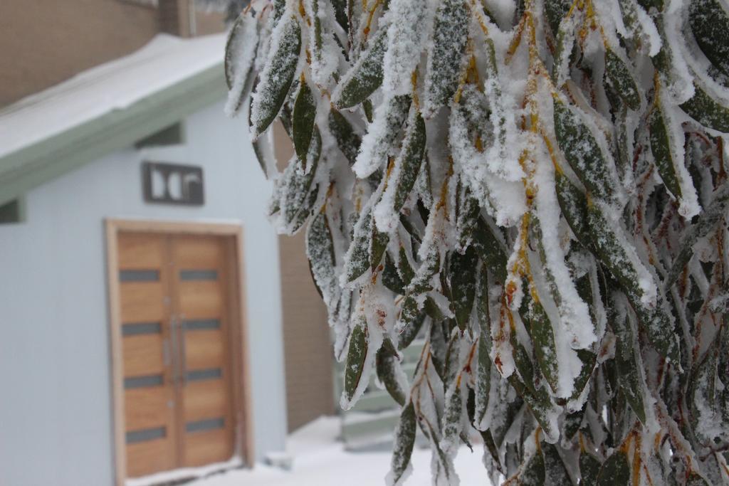 Hotel Alpine Retreat Mt Buller Mount Buller Esterno foto
