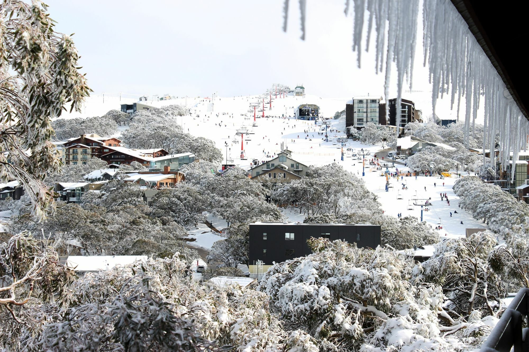 Hotel Alpine Retreat Mt Buller Mount Buller Esterno foto